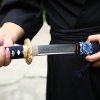 Hamon Blade Japanese Wakizashi Swords
