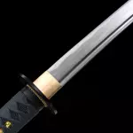 Vaina Negra Katana