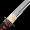 Hamon Blade Tanto Swords