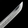 High Performance Blade Tanto