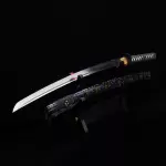 Iron Tsuba Katana