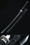 Dragonfly Tsuba T10 Carbon Steel Katana, Full Tang, Handmade & Black Saya