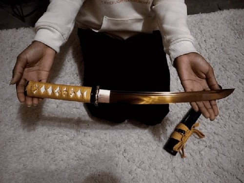 Handmade Japanese Short Tanto Sword 1045 Carbon Steel With Golden Blade