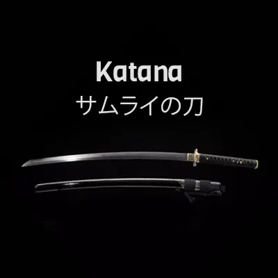 Ninjaschwert Shinken 2 Samurai Schwerter Katana mit Rückenhalterung Krieger 