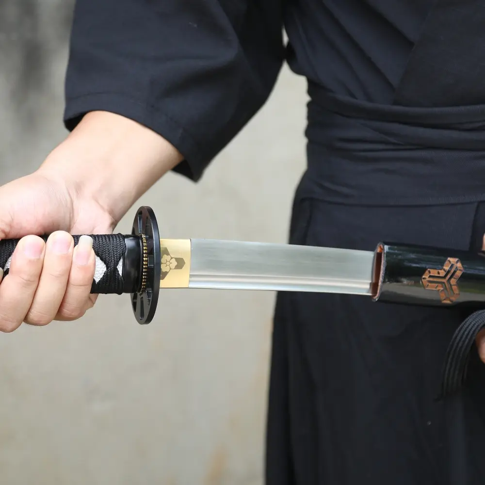 1065 Carbon Steel Katana with Black Piano Lacquer Saya - Dragon