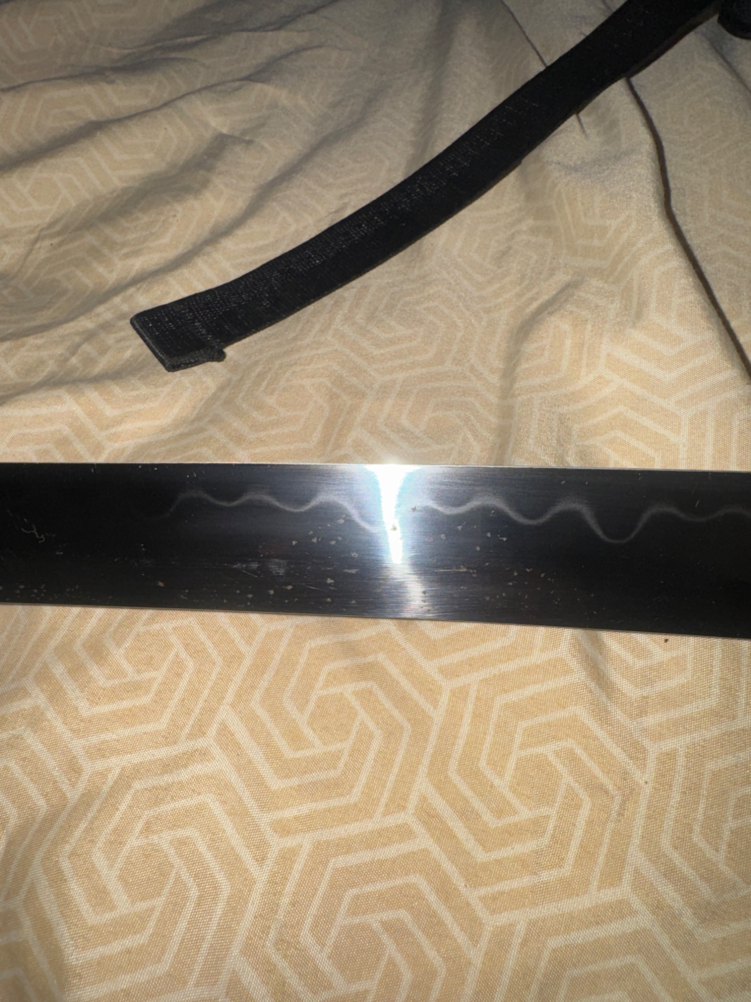 T10 Folded Clay Tempered Katana with Real Hamon - Black Saya with Gold Dragon Motif in Silver Alloy Tsuba